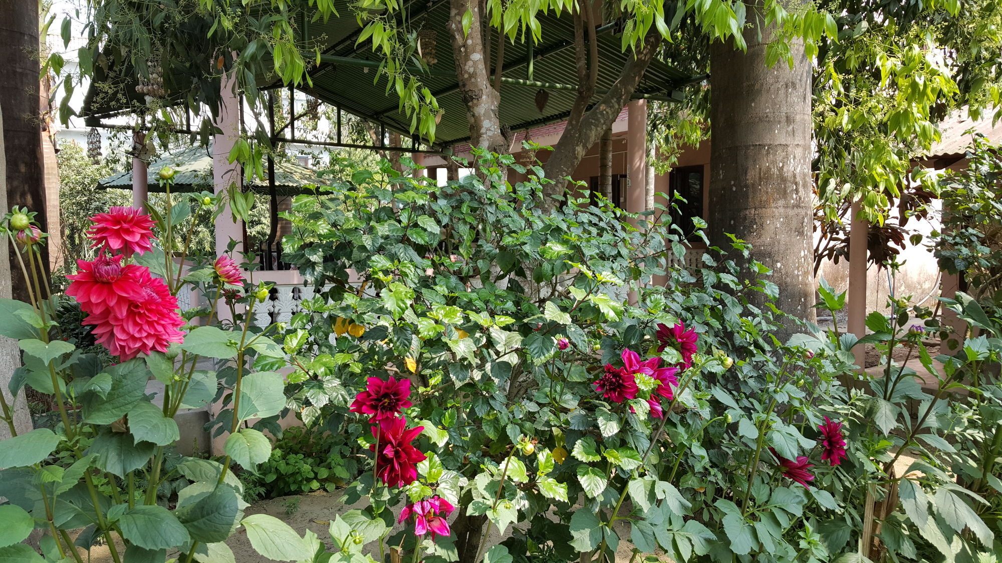 Ama Garden Sauraha酒店 外观 照片
